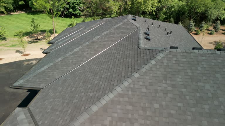 Best Chimney Flashing Repair  in Long Lake, IL