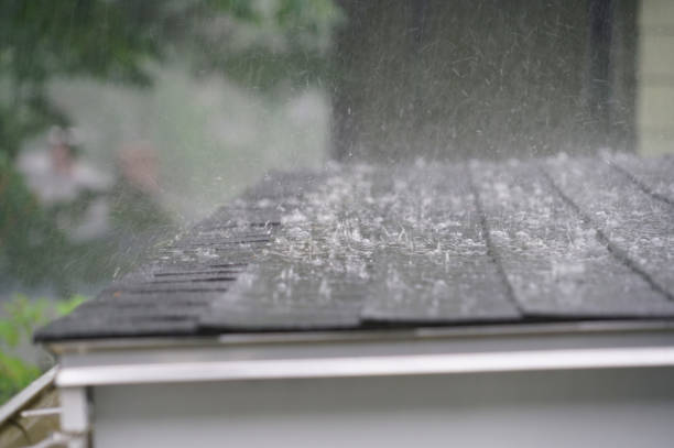 Best Flat Roofing  in Long Lake, IL